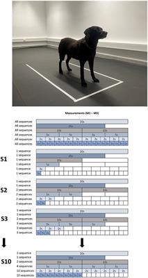 A validation study to analyze the reliability of center of pressure data in static posturography in dogs